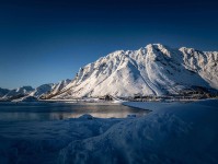 神马电影读法小卡：问题主语对得上吗，动作把例子标清楚，收尾评论也能用