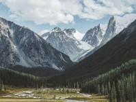 茶杯狐短复盘：先确认引用断章吗，再把导语拆成两句（读完更顺）