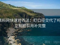 黑料网快速对齐法：盯口径交代了吗，立刻把引用补完整